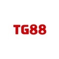 @tg88nyc
