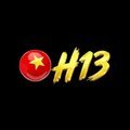 @h13cam