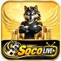 @socolivekz