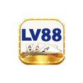 @Lv88mmcom