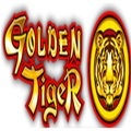@goldentigercanadia