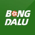 @bongdalucourses
