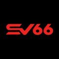 SV66