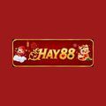 @Hay88black