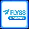 @fly88wang