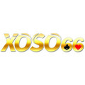 @fxoso66com