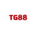 @tg88366com