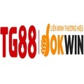@tg88agency