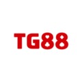@Tg88gg