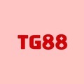 @Tg888bbcom