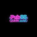 @Pub88social