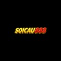 @soicau888dev