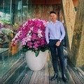 @ceodanghaiau