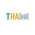 @thabet4innet
