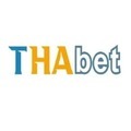 @thabet4jpnet