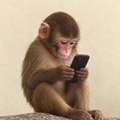 @apeonfone
