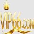 @juvip66com