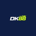 @Dk888info