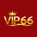 @vip66t1com
