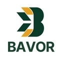 @bavorconsulting