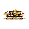 @topnhacaiuytin88org