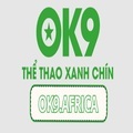 @ok9africa