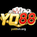 @yo88vnorg01