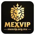 @mexviporgmx
