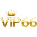 @vip66official