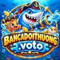 @Bancadoithuongvoto1