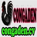 @congadencv