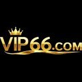 @Vip66living