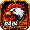 @dagacamvideo
