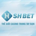 @shbet800comxx