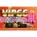 @vip66nl
