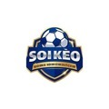 @soikeobongdainvivn