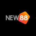 @new88host