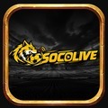 @Socolive10art1