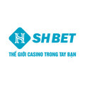 @shbetinfo1