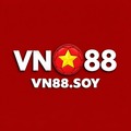 @vn88soy