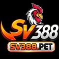 @sv388pet