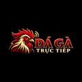@Dagaplus