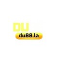 @Du88la