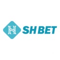 @shbet800com111