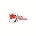@soicaulodechuannet