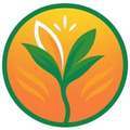 @seedsofsecuritylife