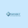 @shbet800com3