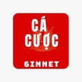 @trangcacuocbongda6innet