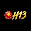 @h13solutions