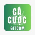 @Trangcacuocbongda6itcom